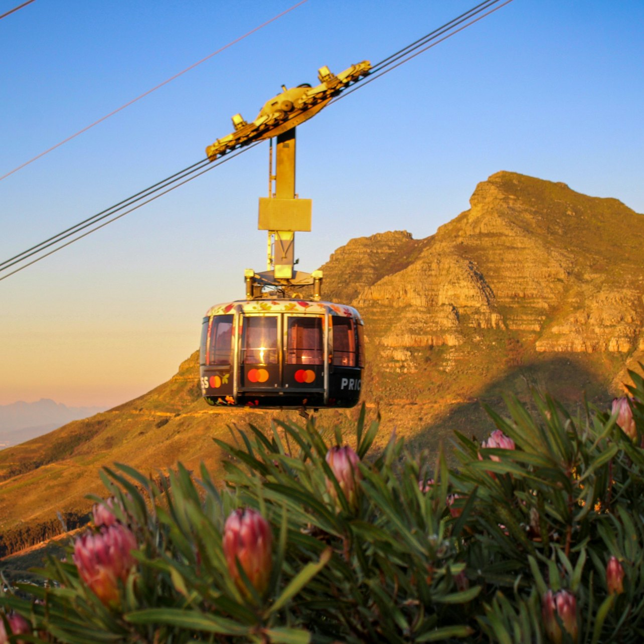 Private Tour: Cape Town Table Mountain, Boulder's Penguins & Cape Point - Photo 1 of 6